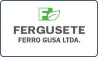 Fergusete Ferro Gusa Ltda